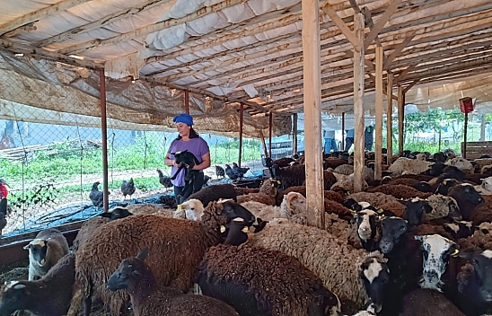 Devletten aldığı destekle hayallerine kavuştu! 10 hayvandan 2 bin hayvana ulaştı