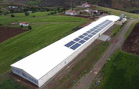 10 yıl önce köyüne döndü! Yatırım yaptı..!