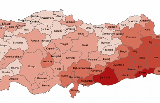 13 yılda yarı yarıya düşüş!