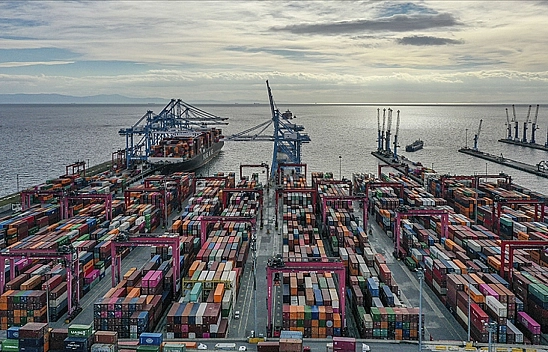 2025 Malatya'ya Yaramadı: Kayısı Umut Verdi, Çelik Parladı!