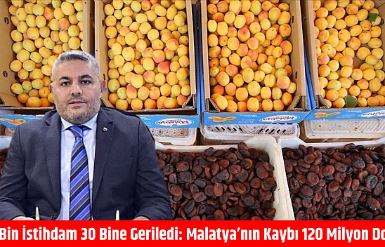 Malatya'nın Kaybı 120 Milyon Dolar