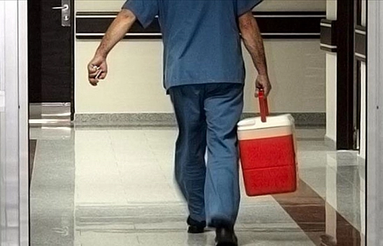 45 yaşındaki kadının karaciğeri Malatya'daki hastaya umut oldu