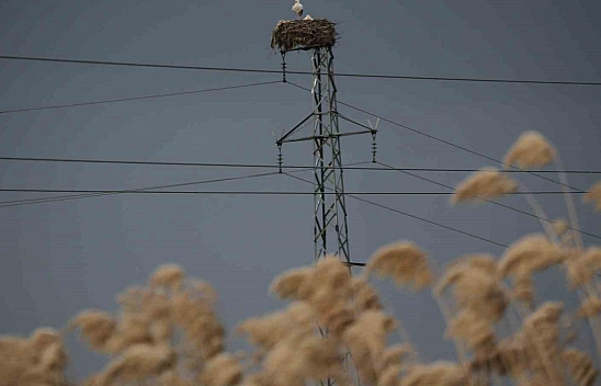 5 bin kilometre yol kat edip Diyarbakır'a geldiler