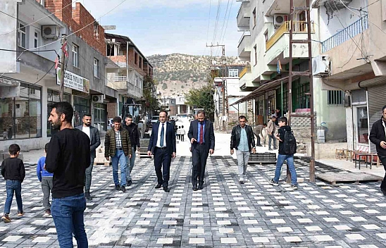 5 yılda Hani'nin çevresi değişti