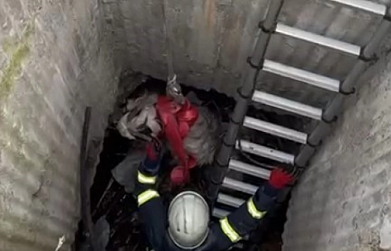 Keçi için seferber oldular