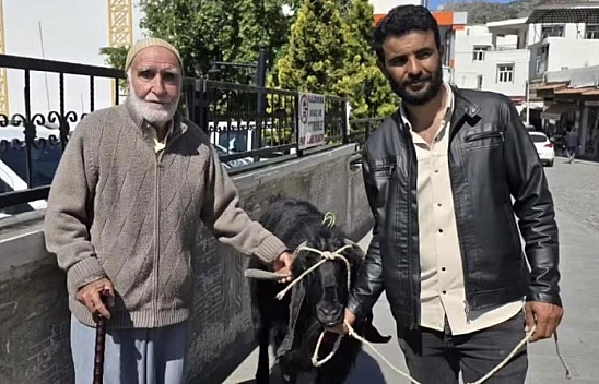 70 kiloluk keçi 36 bin liraya satıldı