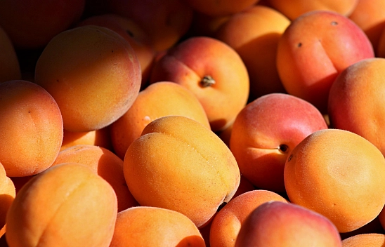 85 milyonun aklına kayısı deyince Malatya geliyor! Malatya kayısısı, yerel lezzetler arasında zirveye oynuyor!