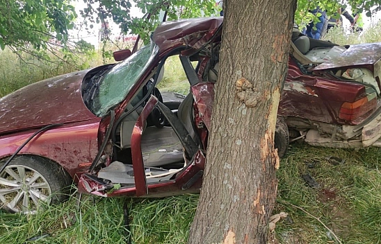 Adıyaman'da otomobil ağaca çarptı