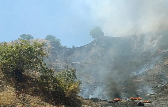 Adıyaman-Malatya karayolunda 1 hektarlık orman küle döndü
