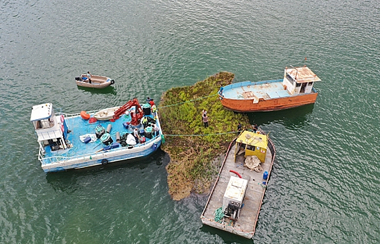 Adıyaman ve Malatya arasında yer alıyor..! 'Yüzen Adalar' koruma altına alındı