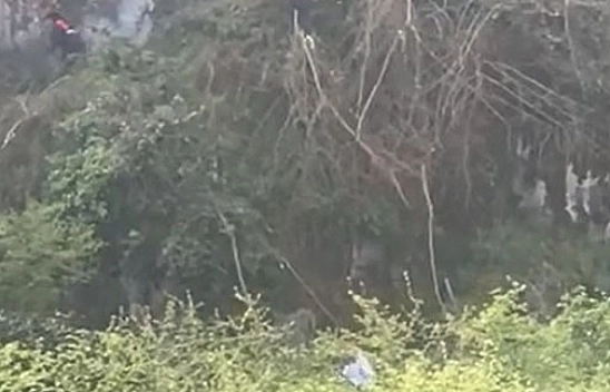 Ağaç keserken uçuruma yuvarlandı