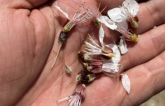 Ağbaba: Malatya doğal afetle bir kez daha yıkılmasın