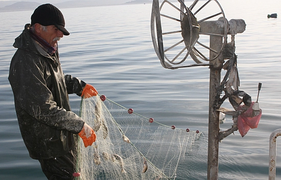 Ağlar göle bırakıldı! 15 Nisan öncesi bereket sezonu..!
