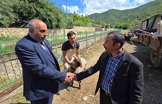 Tokat'tan Binali Yıldırım'a özel hediye! Tam 4 boynuzlu!
