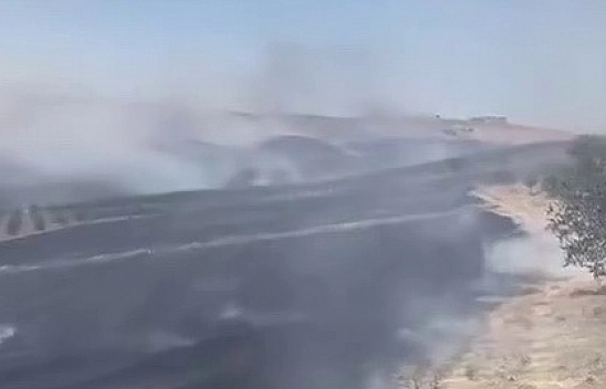 Anız Yangını Güçlükle Söndürüldü