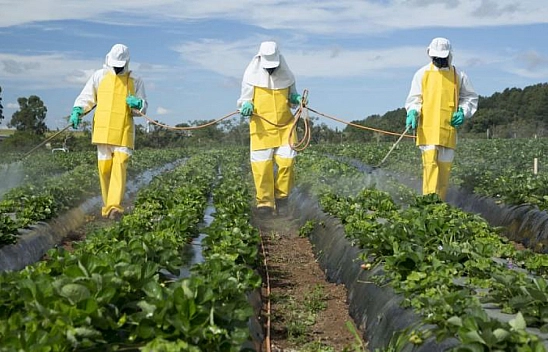 Malatya'ya endüstriyel tarım dayatması