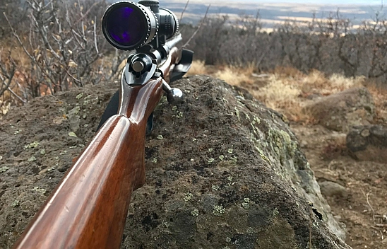 Av Tutkunlarına Müjde! 36 Av Tüfeği İhaleyle Satılıyor!