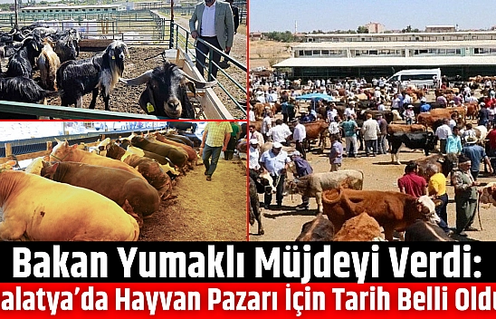 Bakan Yumaklı Müjdeyi Verdi: Malatya'da Hayvan Pazarı İçin Tarih Belli Oldu…