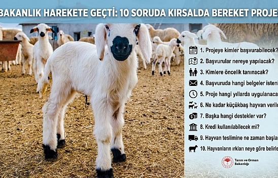 Bakanlık Harekete Geçti: 10 Soruda Kırsalda Bereket Projesi