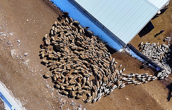 Bakanlık Tescilledi: Malatyalı üreticilere 4,6 milyonluk ek kaynak