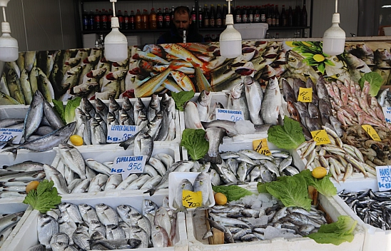 Malatya'da Balık Fiyatları Şaşırtıyor: İşte Güncel Balık Fiyatları!