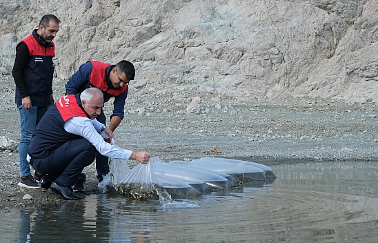Balıkçılıkta Rekor Destek: Malatya'da 2,2 Milyon Sazan Yavrusu Barajlara Salındı