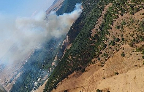 Balıkesir'de orman yangını