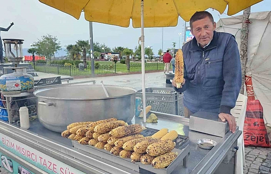Bandırma süt mısırı tezgâhlarda yerini aldı