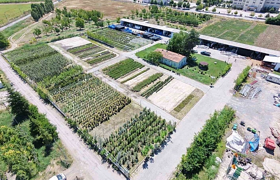 Battalgazi Belediyesi kendi ürettiği bitkilerle yeşilleniyor