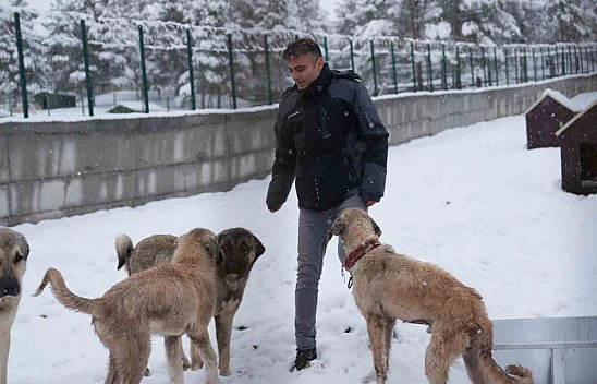 Malatya'nın ikinci hayvan barınağı hizmete açıldı