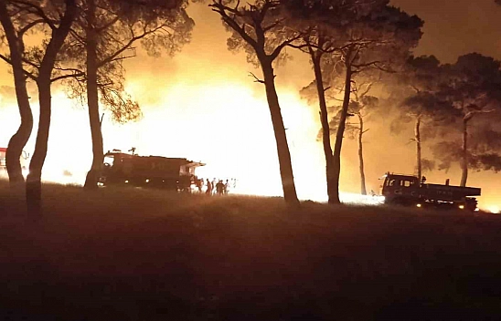 Orman yangını kontrol altına alındı