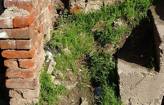 Bebeği harabeye bıraktılar