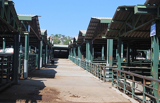 Beklenen hareketlilik yaşanmadı: Malatya'da hayvan pazarı boş kaldı