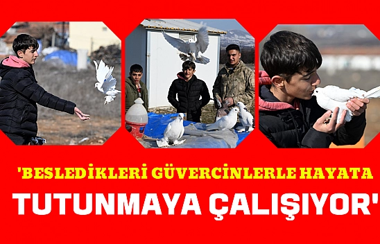 'Besledikleri güvercinlerle hayata tutunmaya çalışıyor'