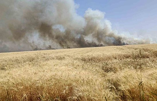 Tonlarca buğday küle döndü
