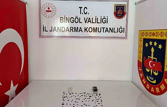 Bingöl'de tarihi eser operasyonu