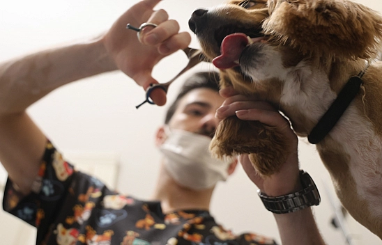 Bölgede İlk Ve Tek, Malatyalılar, Tuncelililer ve Bingöllüler Oraya Gidiyor..