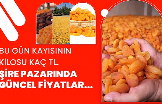 Bu gün kayısının kilosu kaç TL. Şire Pazarında güncel fiyatlar...