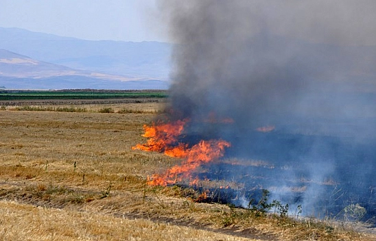 Anız Yakma Sorunu Devam Ediyor: Çiftçiler Uyarılara Kulak Asmıyor