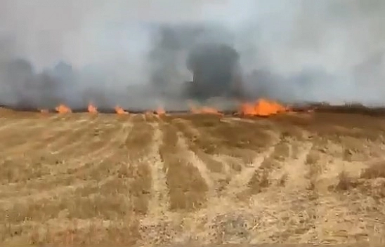 Anız yangını korkuttu