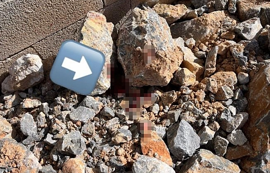 Çalıştığı inşaatın çatısından düşen işçi öldü