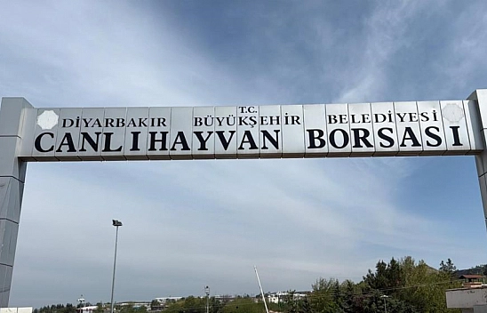 Canlı Hayvan Borsası tadilata alındı