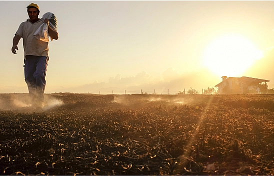 Çiftçinin yüzü gülüyor! Hasat sevinci hesaplara yansıyor...