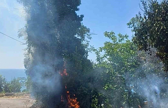 Çıkan yangın ekipleri harekete geçirdi