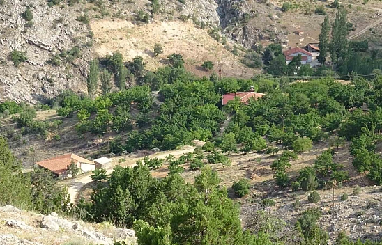 Aysel Yıldırım olayında sıcak gelişme: 1600 rakımlı dağda aranıyor!