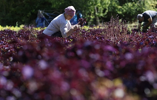 Çocuklardan Malatya'ya 'Düşler Atölyesi' Dokunuşu