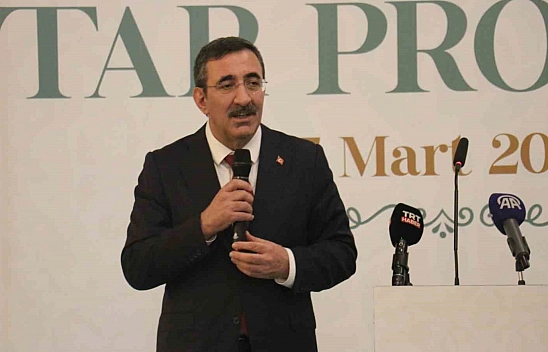 'Siyasi istikrarın olmadığı yerde ekonomik gelişme de olmaz'