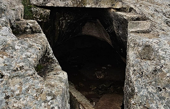 Define avcılarına suçüstü