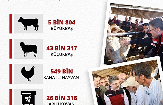 Depremzede yetiştiricilere ücretsiz dağıtıldı