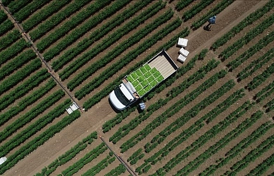 Destek ödemeleri başladı! Arasında Malatya'da var...